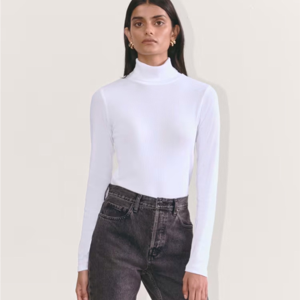 Everlane Luxe Rib Turtleneck